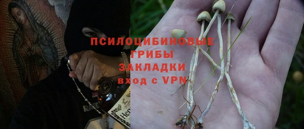 герыч Арсеньев