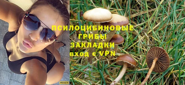 герыч Арсеньев
