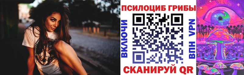 гидра   Болохово  Галлюциногенные грибы прущие грибы 